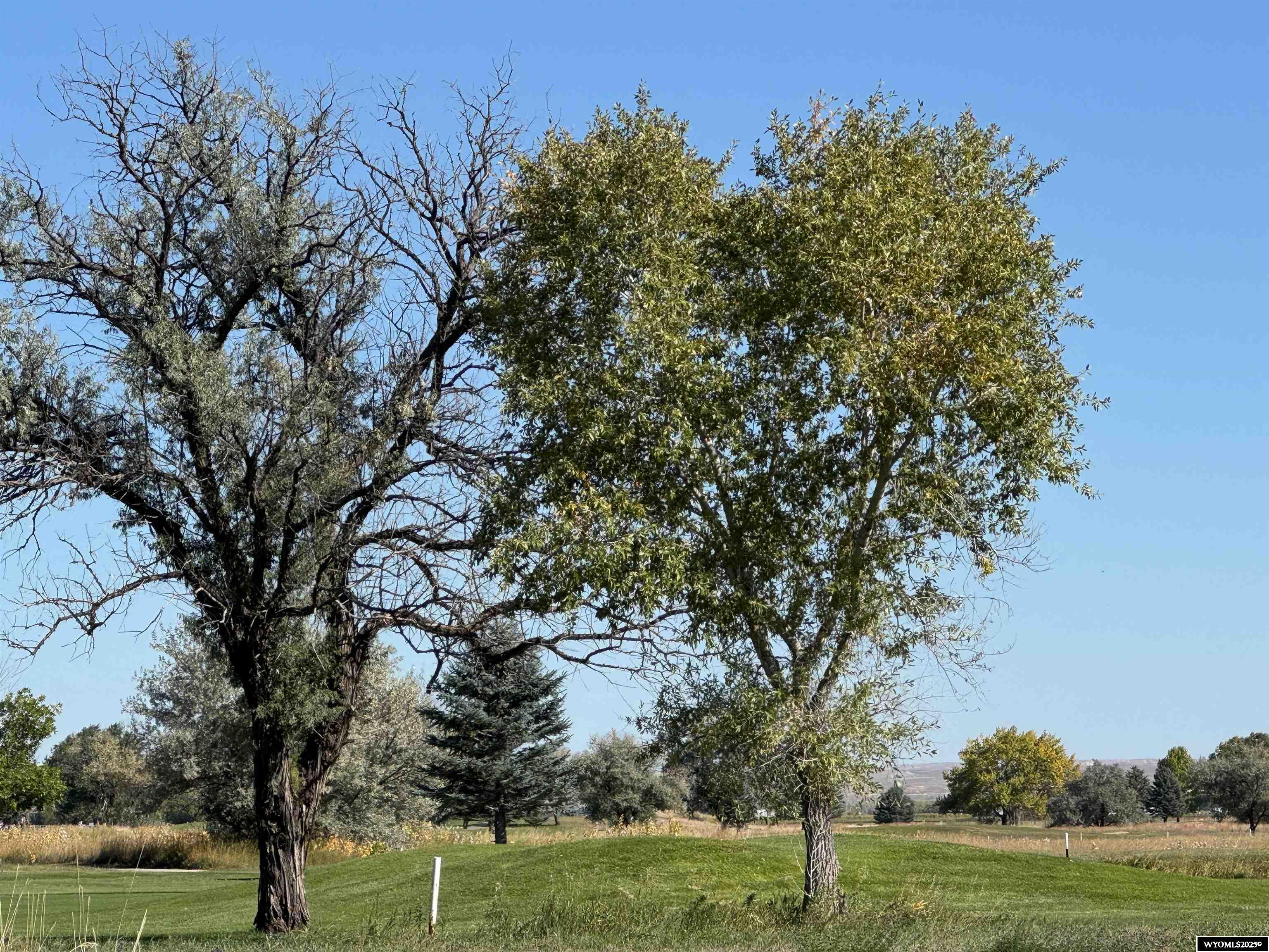 419 Pebble Beach Riverton, WY 82501 - Photo 4 of 5