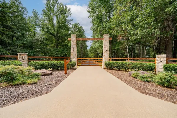a view of a garden with large trees