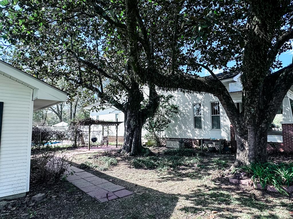 185 North Morris Street Slocomb, AL 36375 - Photo 53 of 58