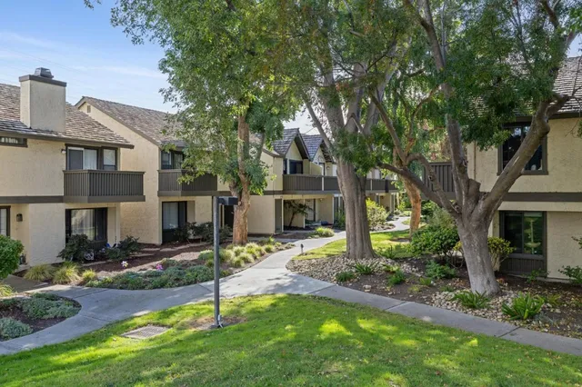 a house that has a tree in front of a house
