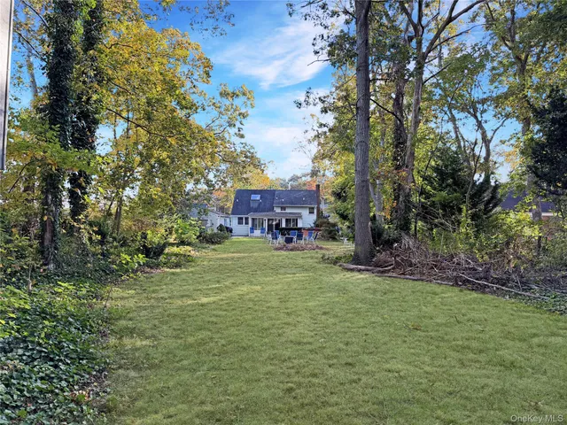 a view of a big yard with plants and large trees