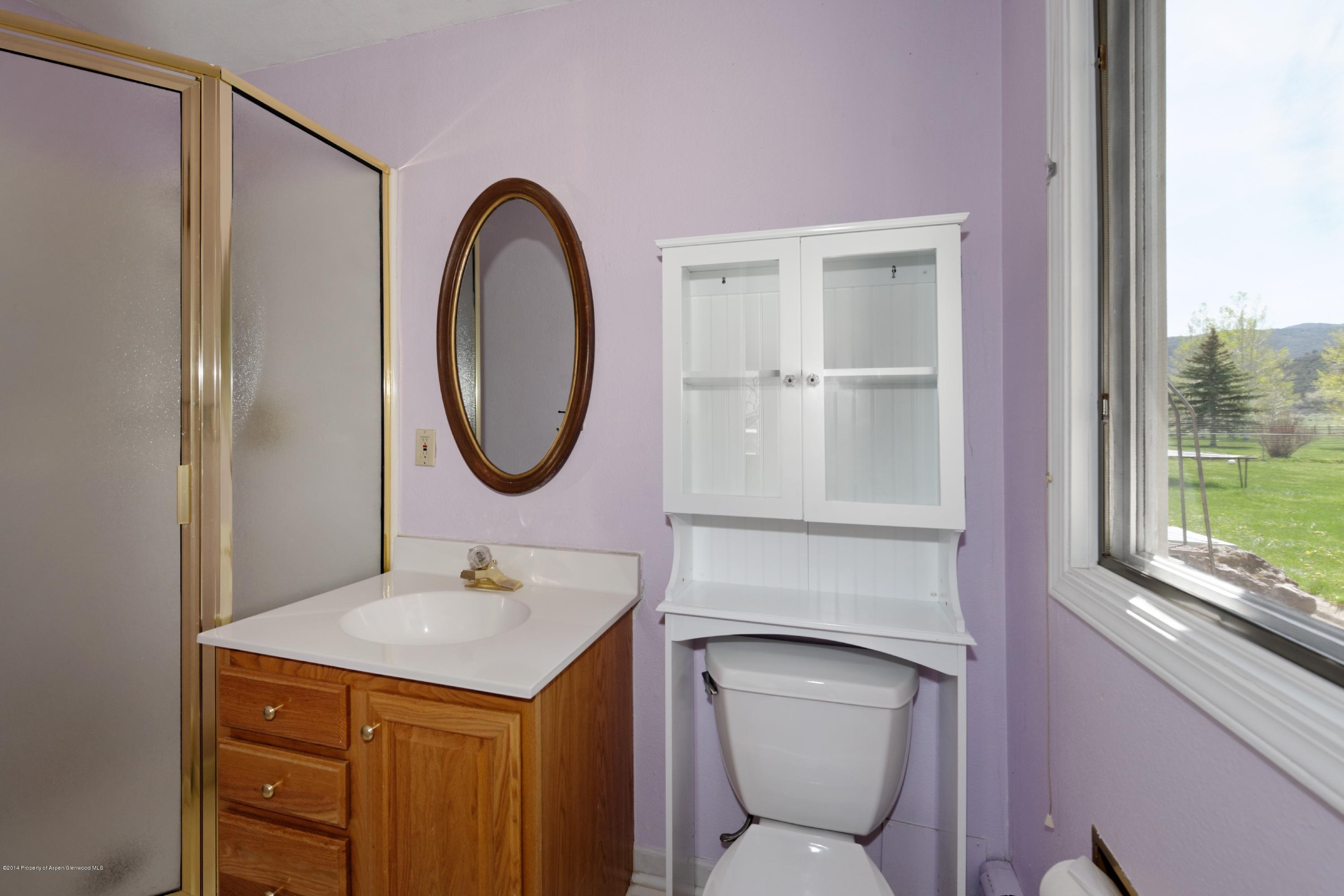 356 Apple Drive Basalt, CO 81621 - Photo 14 of 25 356Apple_HiRes07