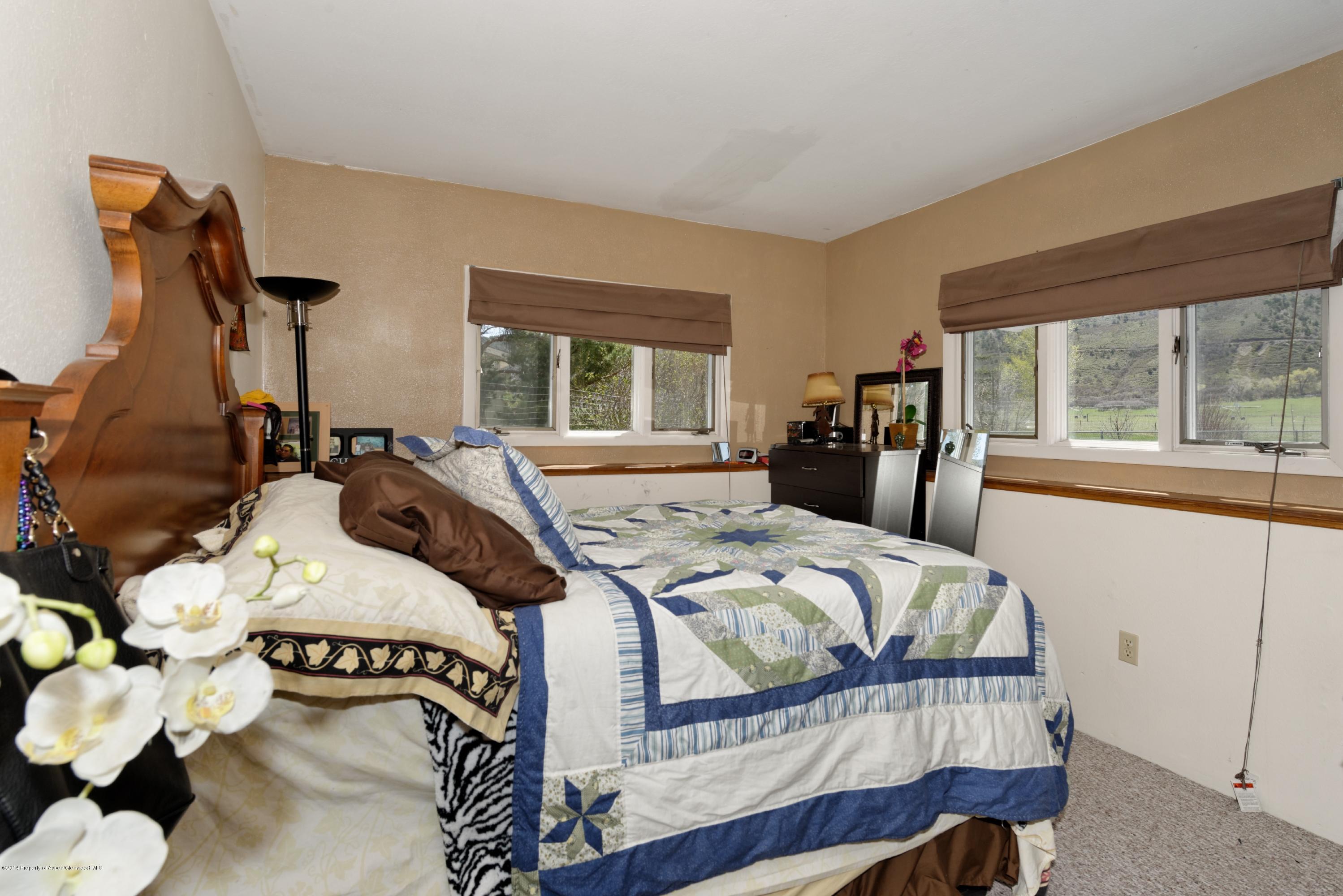 356 Apple Drive Basalt, CO 81621 - Photo 16 of 25 356Apple_HiRes24