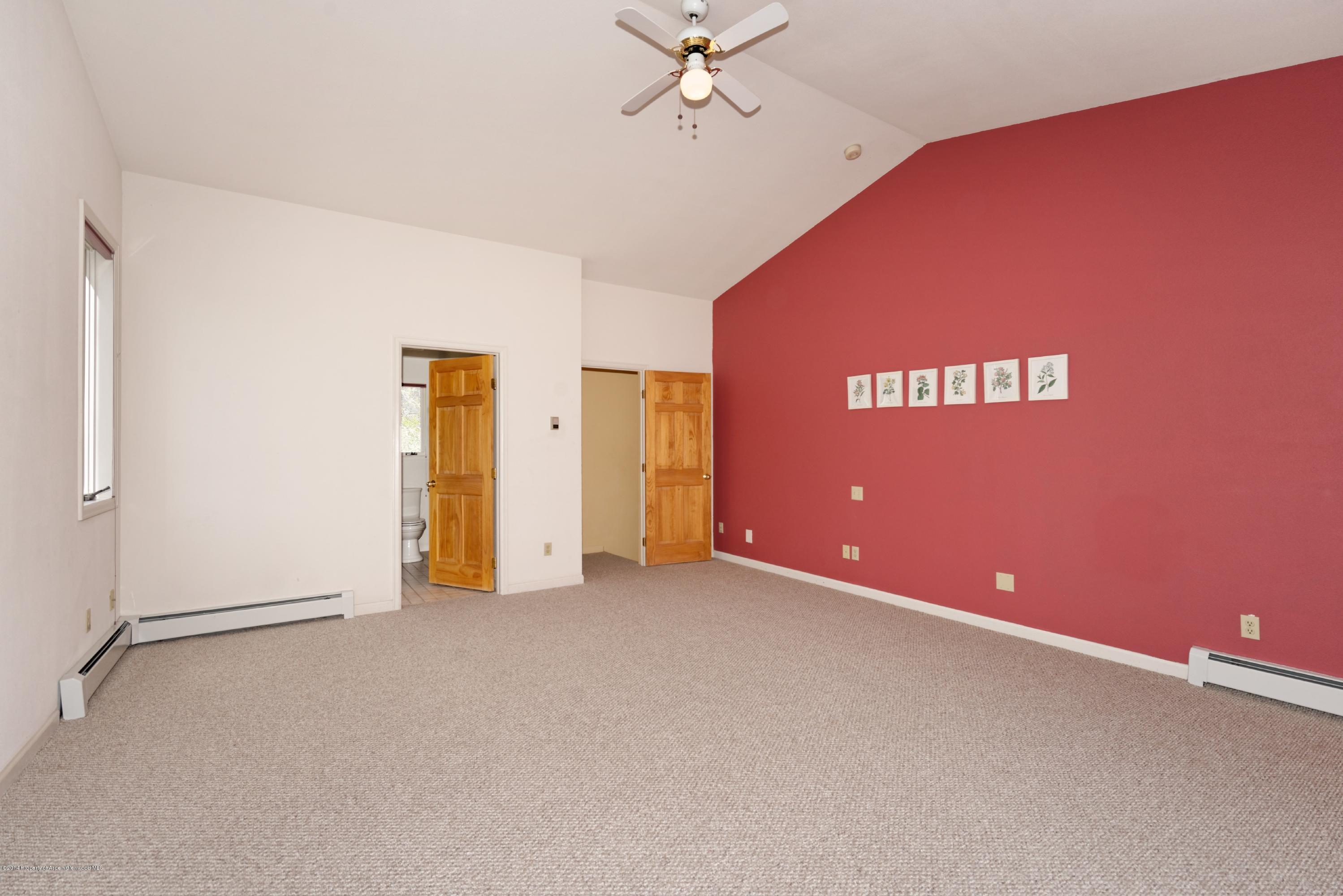 356 Apple Drive Basalt, CO 81621 - Photo 19 of 25 356Apple_HiRes15