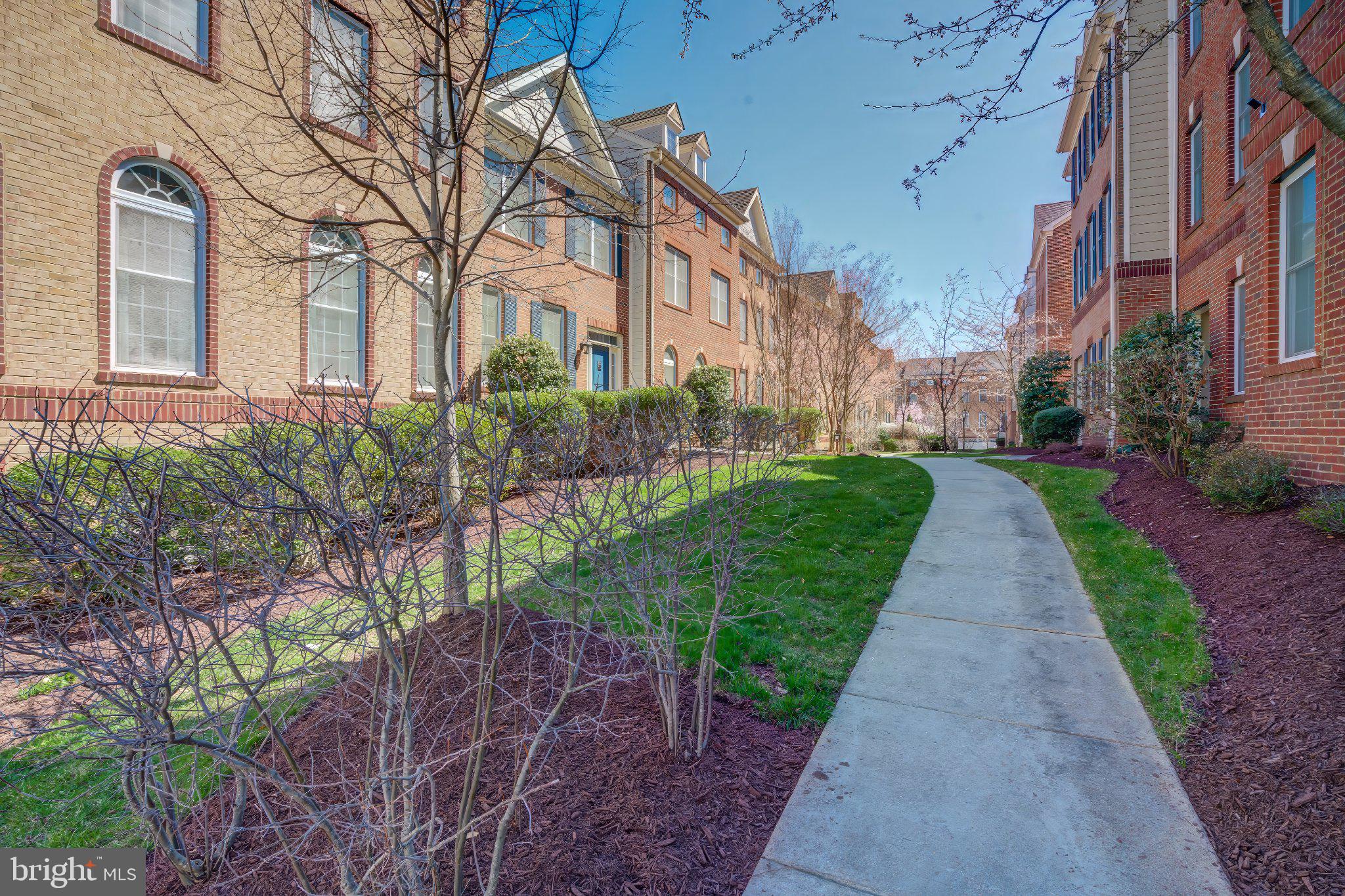 2517 Cherry Tree Road Hanover, MD 21076 - Photo 49 of 61 Charming pathway through lush greenery.