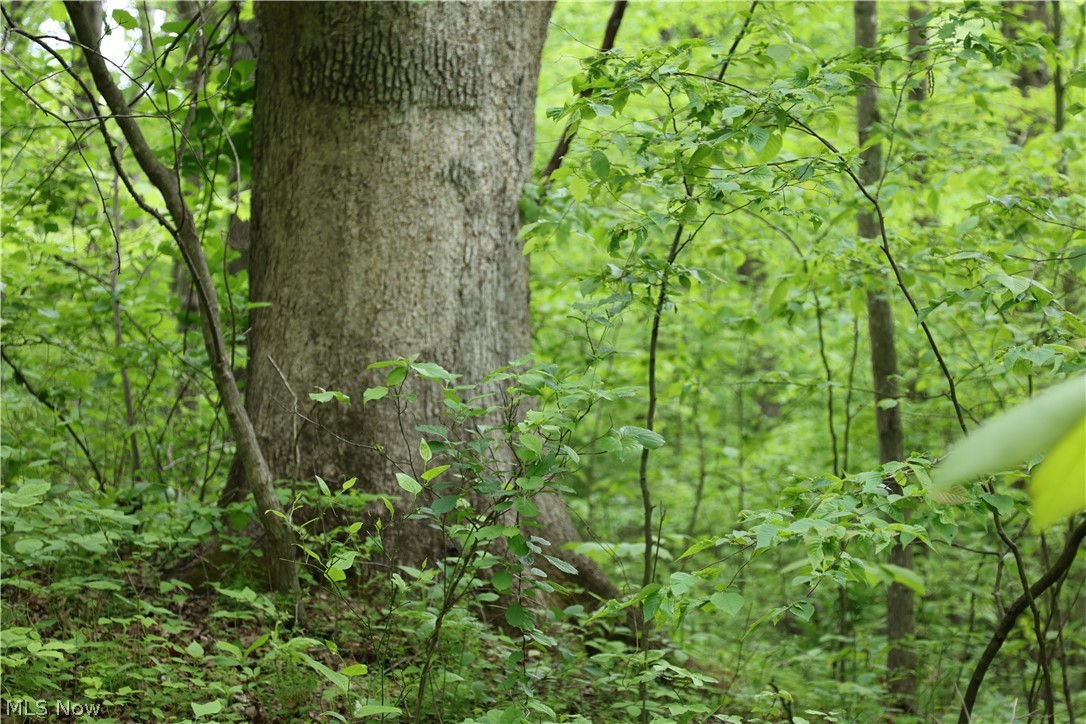 61342 High Hill Road Cambridge, OH 43725 - Photo 20 of 37