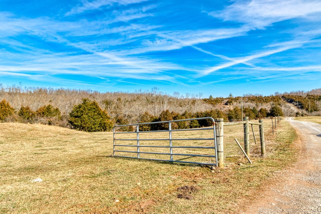1604 Rickey Road Max Meadows, VA 24360 - Photo 48 of 73 Gallery Image 48