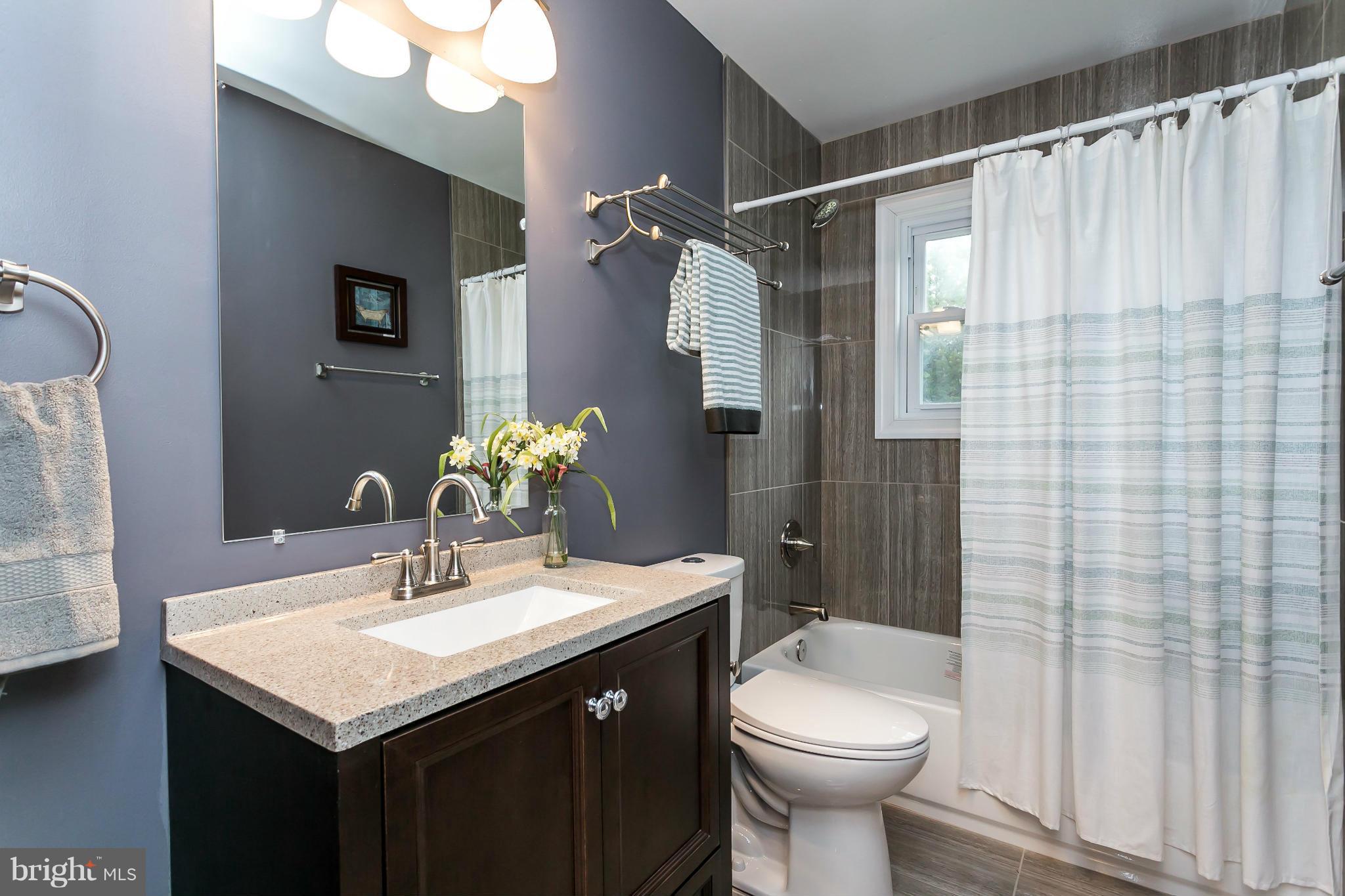 200 Highfalcon Road Reisterstown, MD 21136 - Photo 15 of 28 a bathroom with a sink vanity mirror and toilet