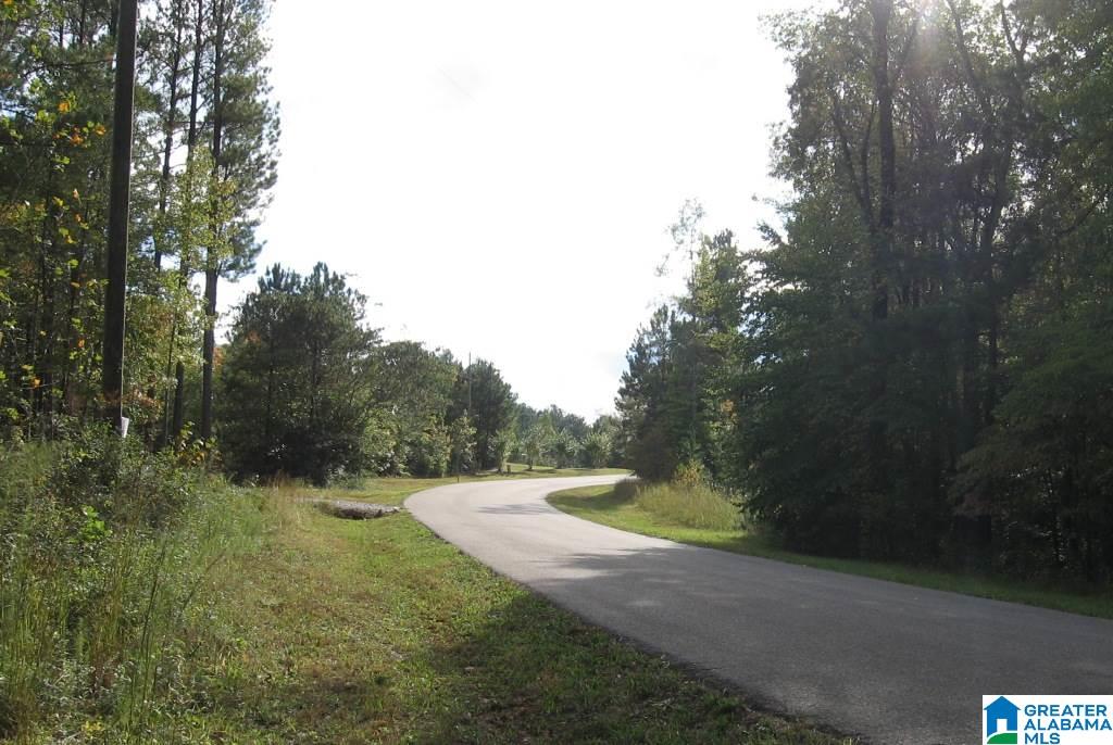804 County Road, Unit 102 Wedowee, AL 36278 - Photo 1 of 2