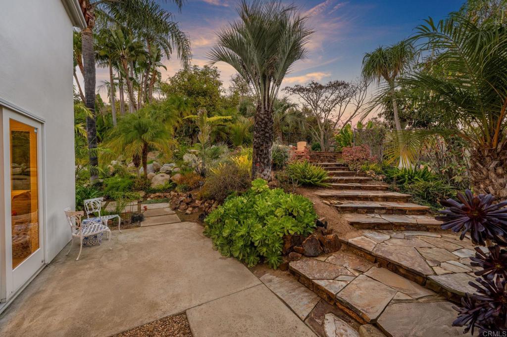 3443 Country Road Fallbrook, CA 92028 - Photo 53 of 71 a view of a backyard with potted plants and large trees