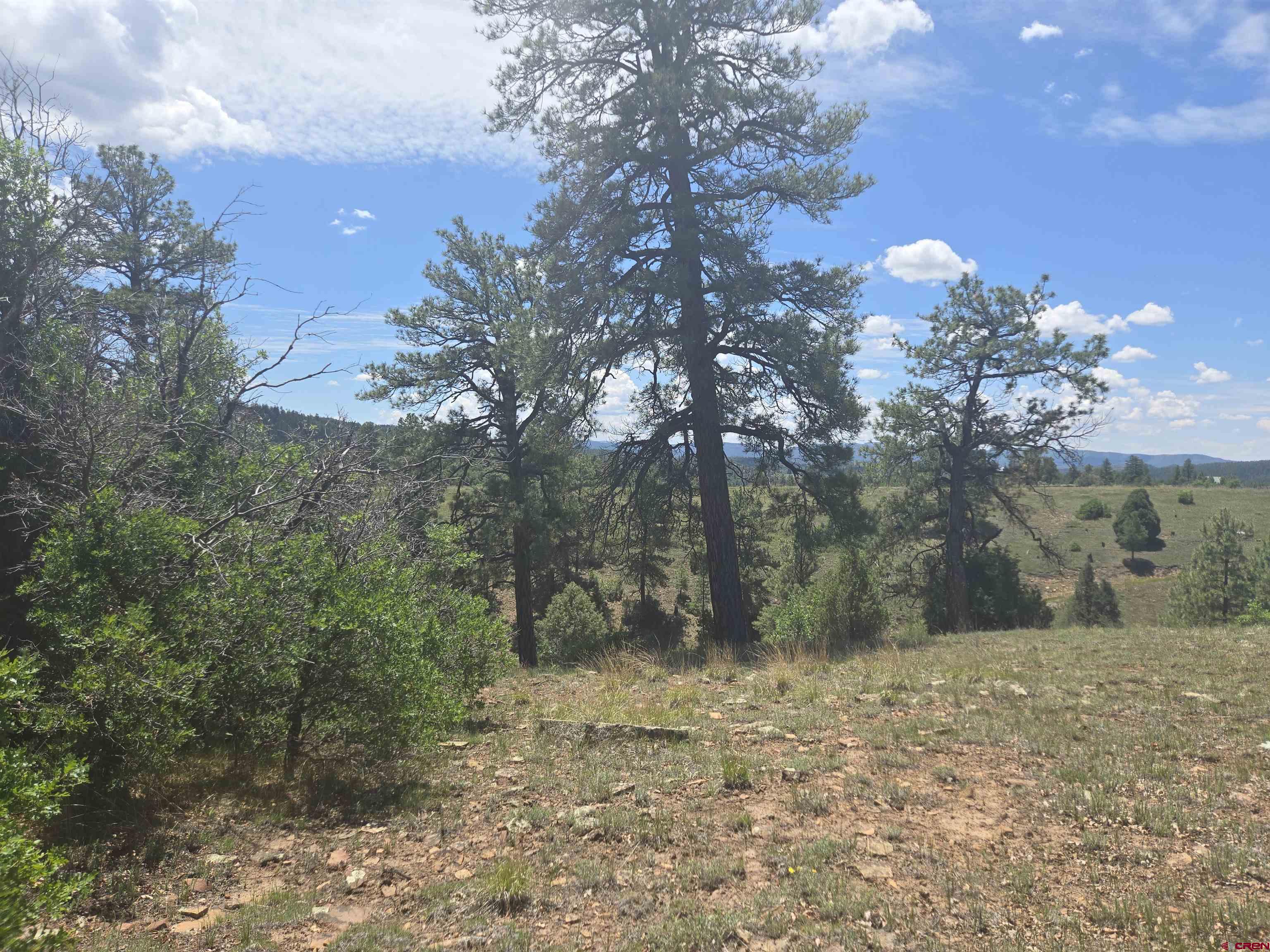 359 Rd Pagosa Spgs