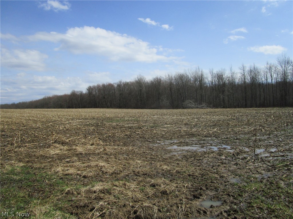 4381 Higley Road Rome, OH 44085 - Photo 33 of 41
