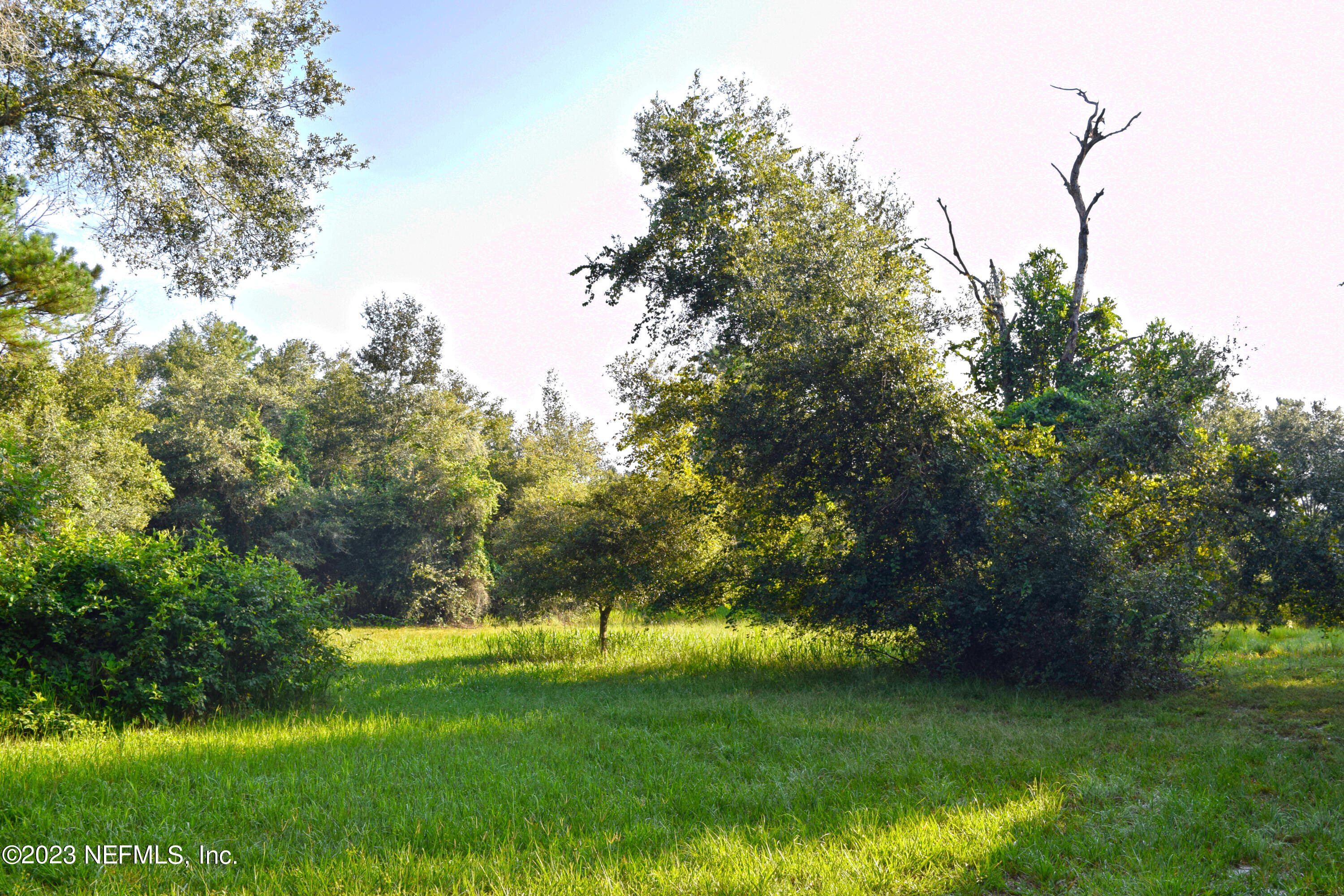 7051 Gatorbone Road Keystone Heights, FL 32656 - Photo 31 of 44 29