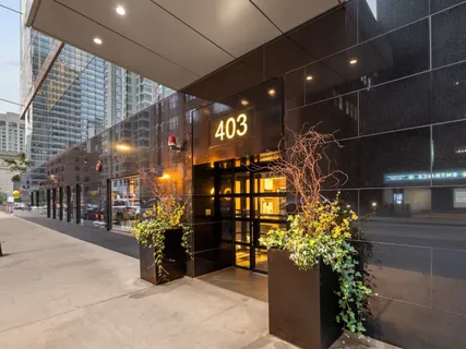 a view of a room with lots of potted plants