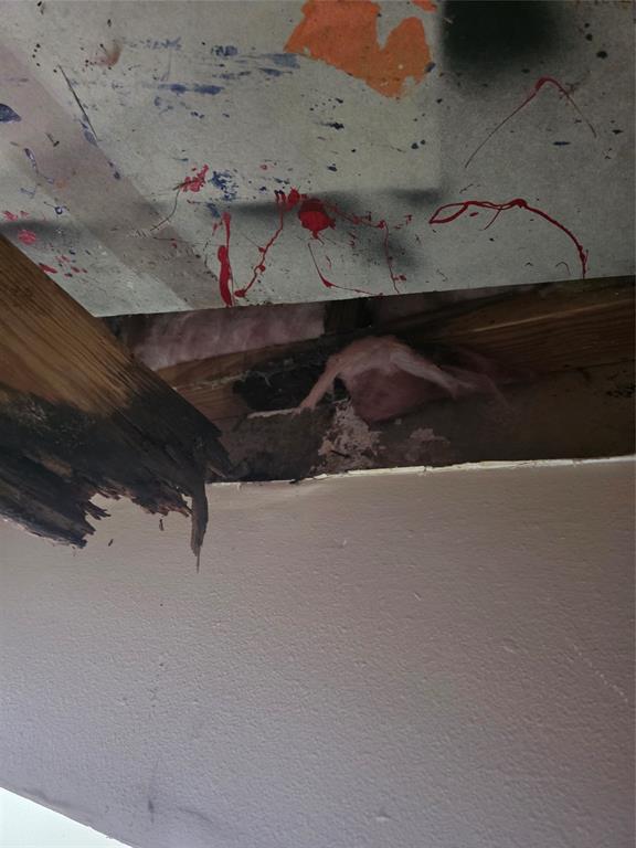 55 Birch Street Trinity, TX 75862 - Photo 9 of 31