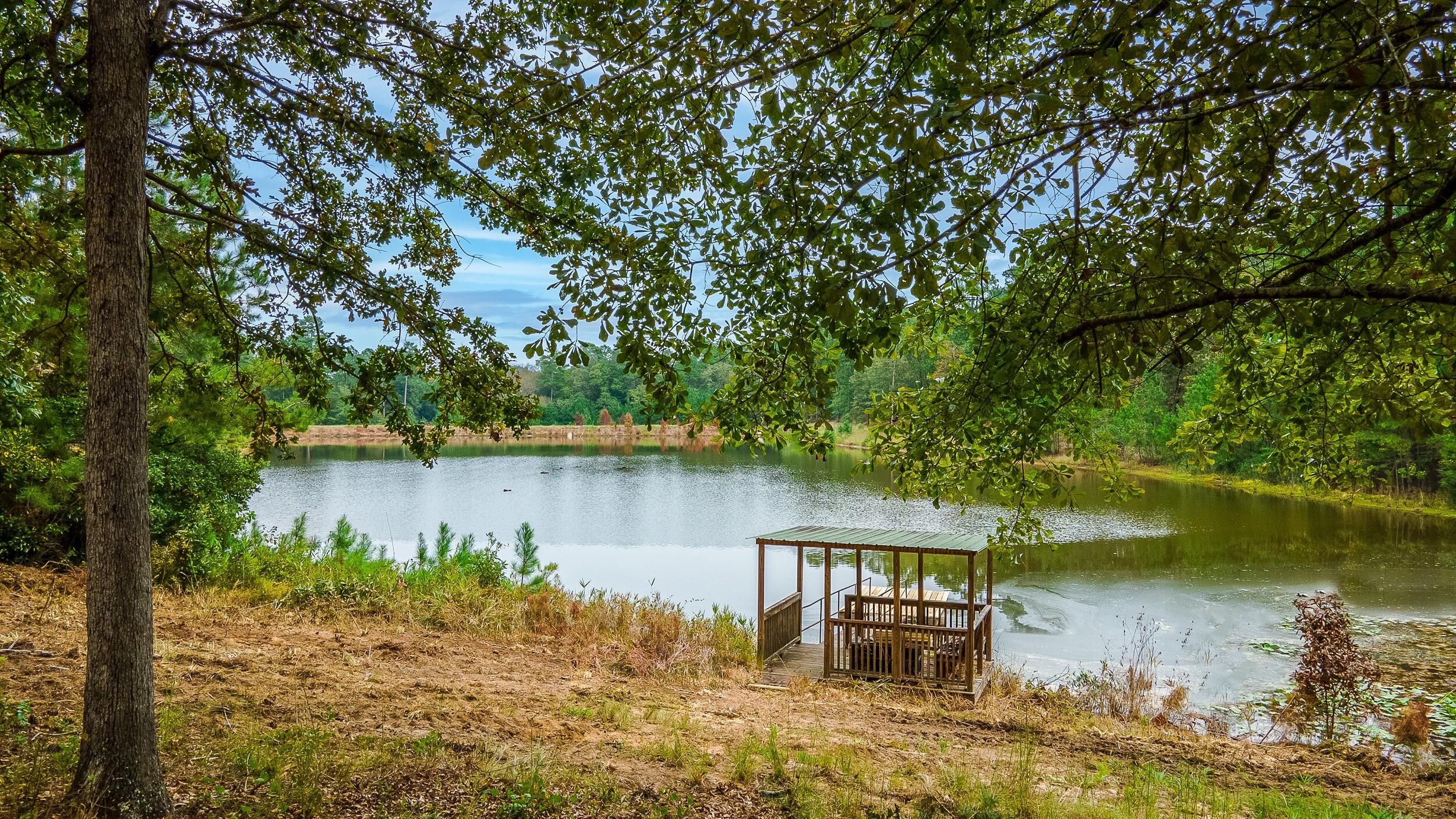 411 Snipes Pond Road Aiken, SC 29805 - Photo 7 of 23