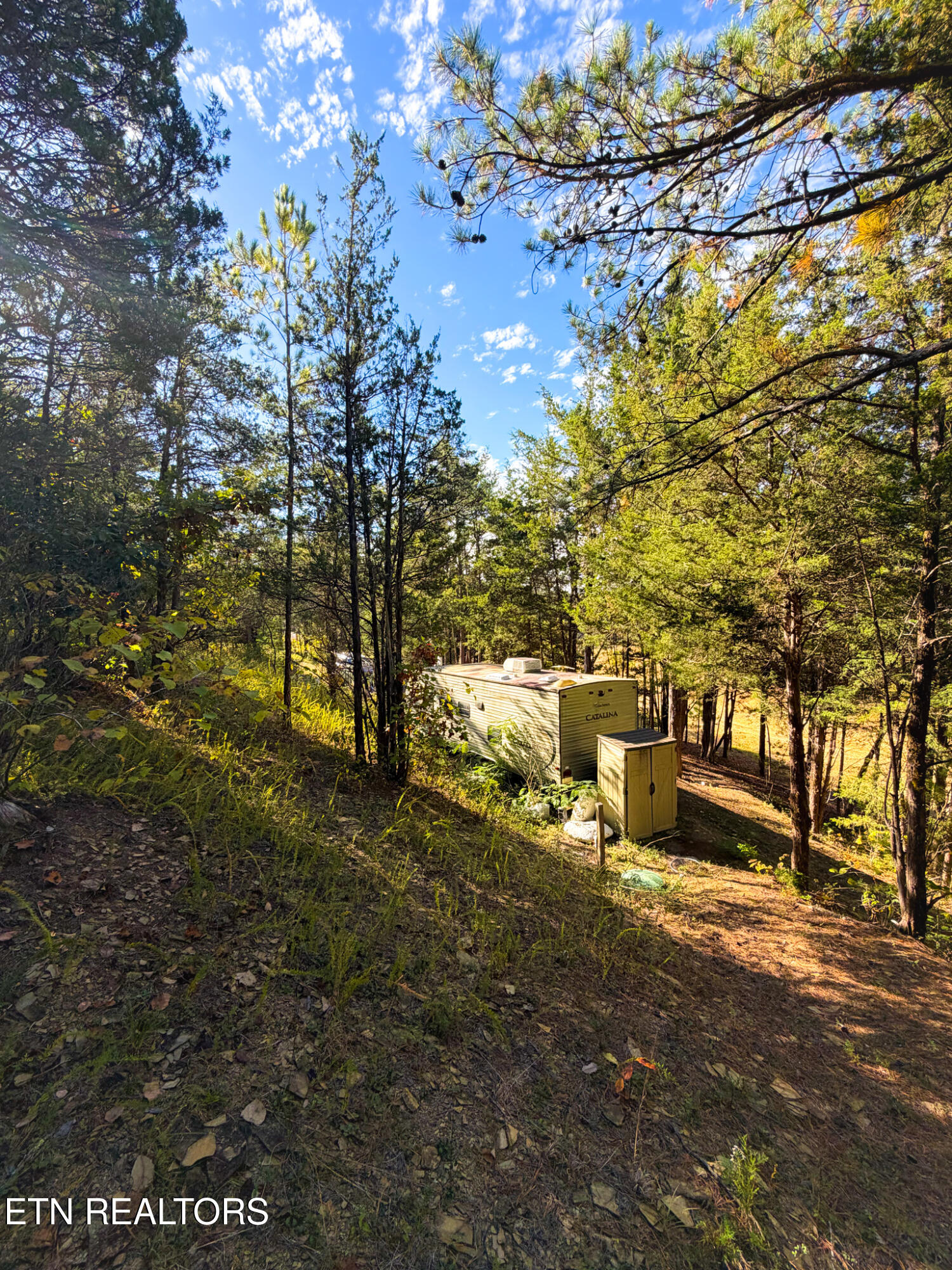 2859 Buck Horn Road Sevierville, TN 37876 - Photo 9 of 9 Buck-03