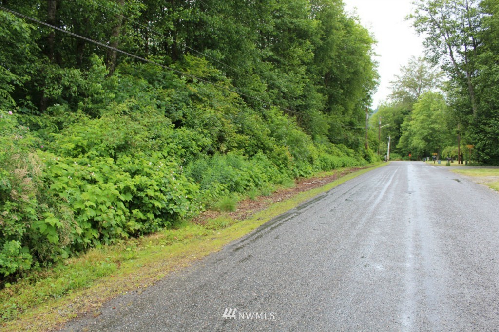 1 Mosier Road Sedro-Woolley, WA 98284 - Photo 1 of 2 Gallery Image 1