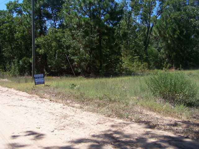 N Stonewall Jackson Road Wagener, SC 29164 - Photo 4 of 4