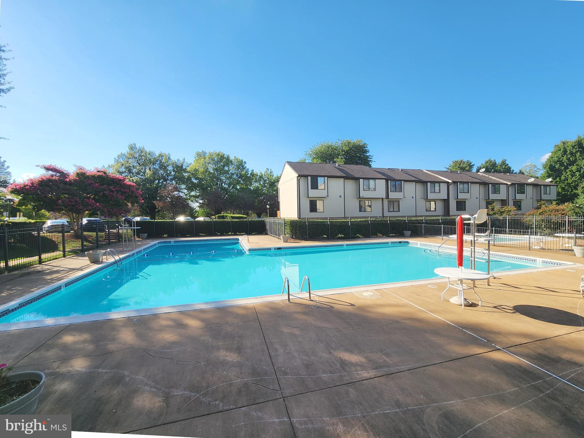 1710 Westwind Way McLean, VA 22102 - Photo 19 of 25 a view of yard with swimming pool and tall trees