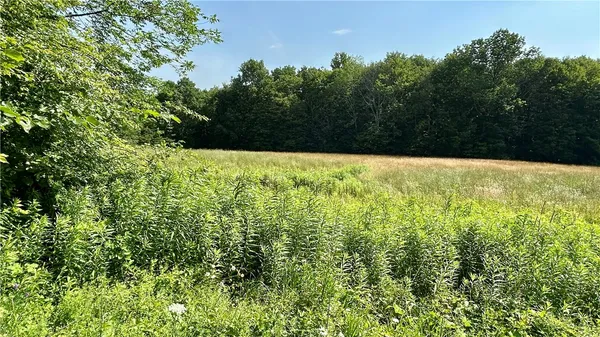 $50,000 | Hamden Hill Road, Delhi, NY 13753