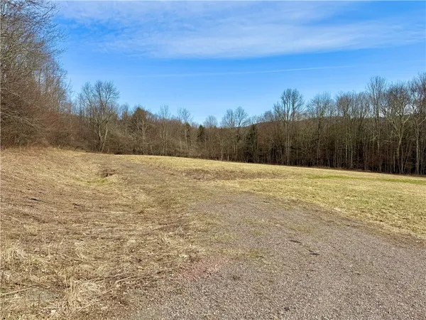 $50,000 | Hamden Hill Road, Delhi, NY 13753