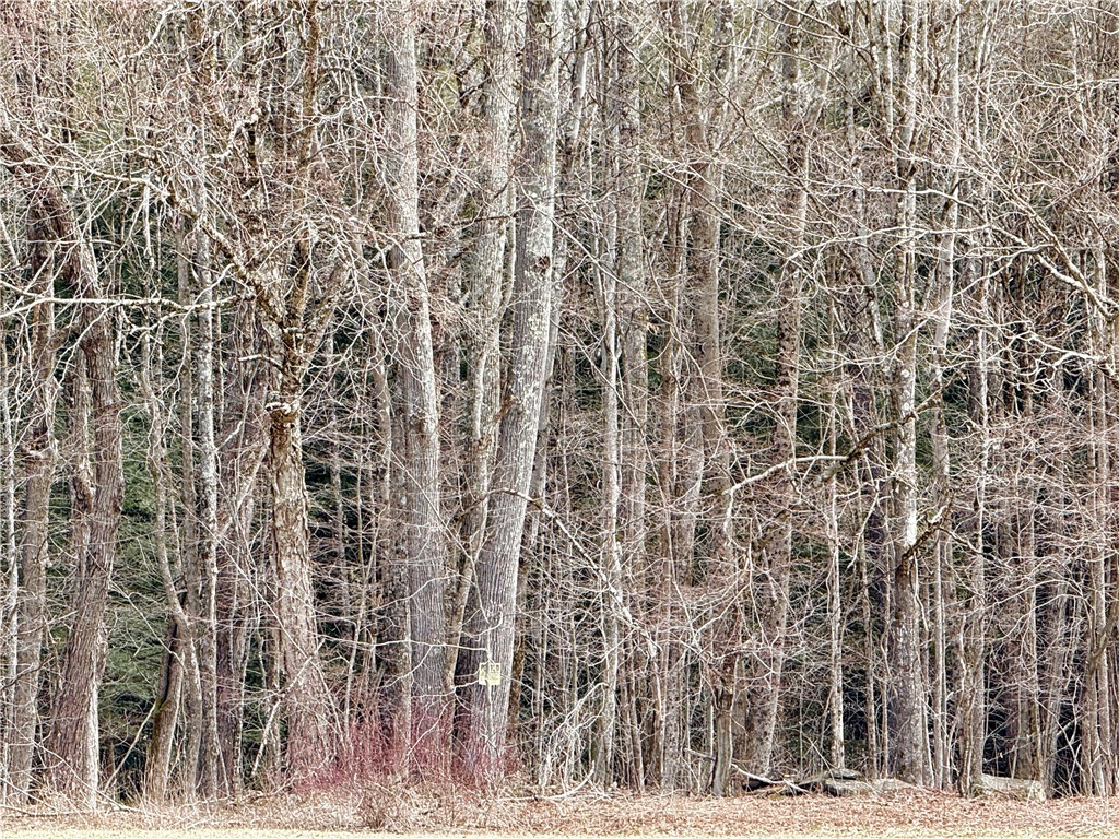 Hamden Hill Road Delhi, NY 13753 - Photo 13 of 18