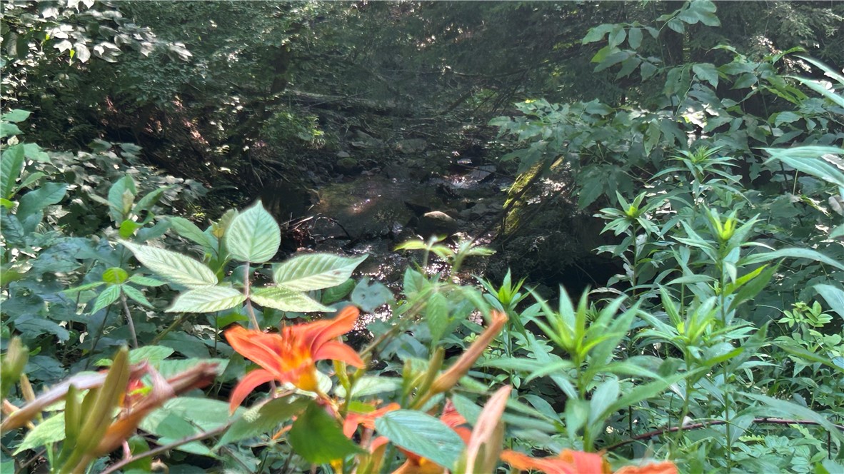 Hamden Hill Road Delhi, NY 13753 - Photo 16 of 18