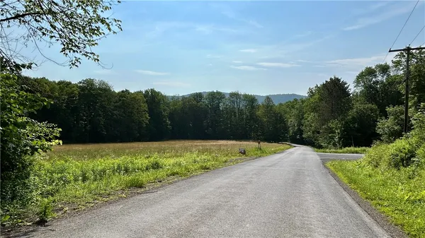 $50,000 | Hamden Hill Road, Delhi, NY 13753