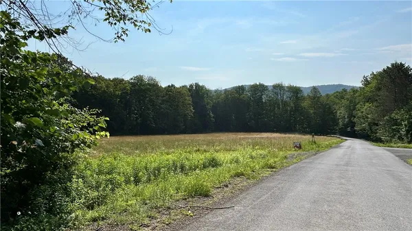$50,000 | Hamden Hill Road, Delhi, NY 13753