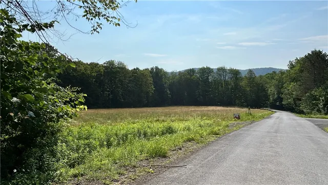 $79,500 | Hamden Hill Road, Delhi, NY 13753