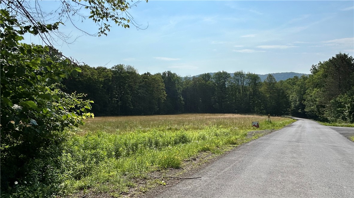 Hamden Hill Road Delhi, NY 13753 - Photo 18 of 18