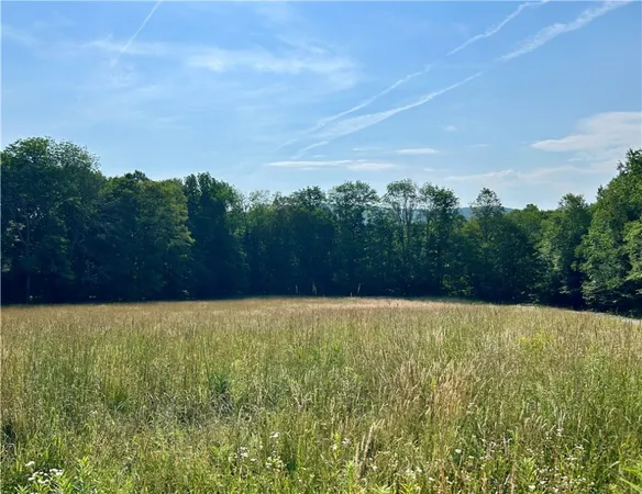 $50,000 | Hamden Hill Road, Delhi, NY 13753