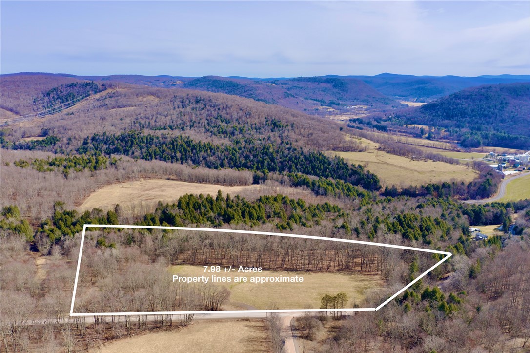 Hamden Hill Road Delhi, NY 13753 - Photo 5 of 18