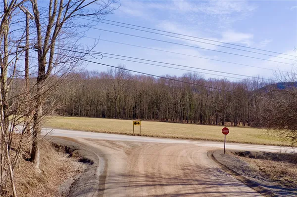 $50,000 | Hamden Hill Road, Delhi, NY 13753