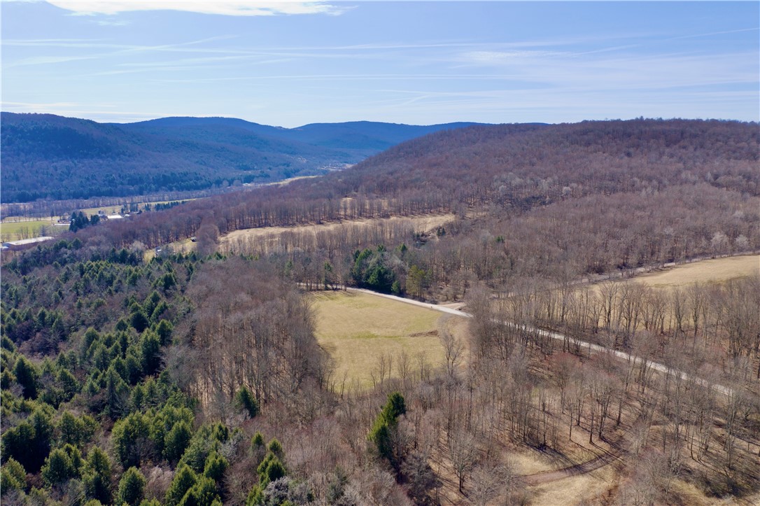 Hamden Hill Road Delhi, NY 13753 - Photo 7 of 18