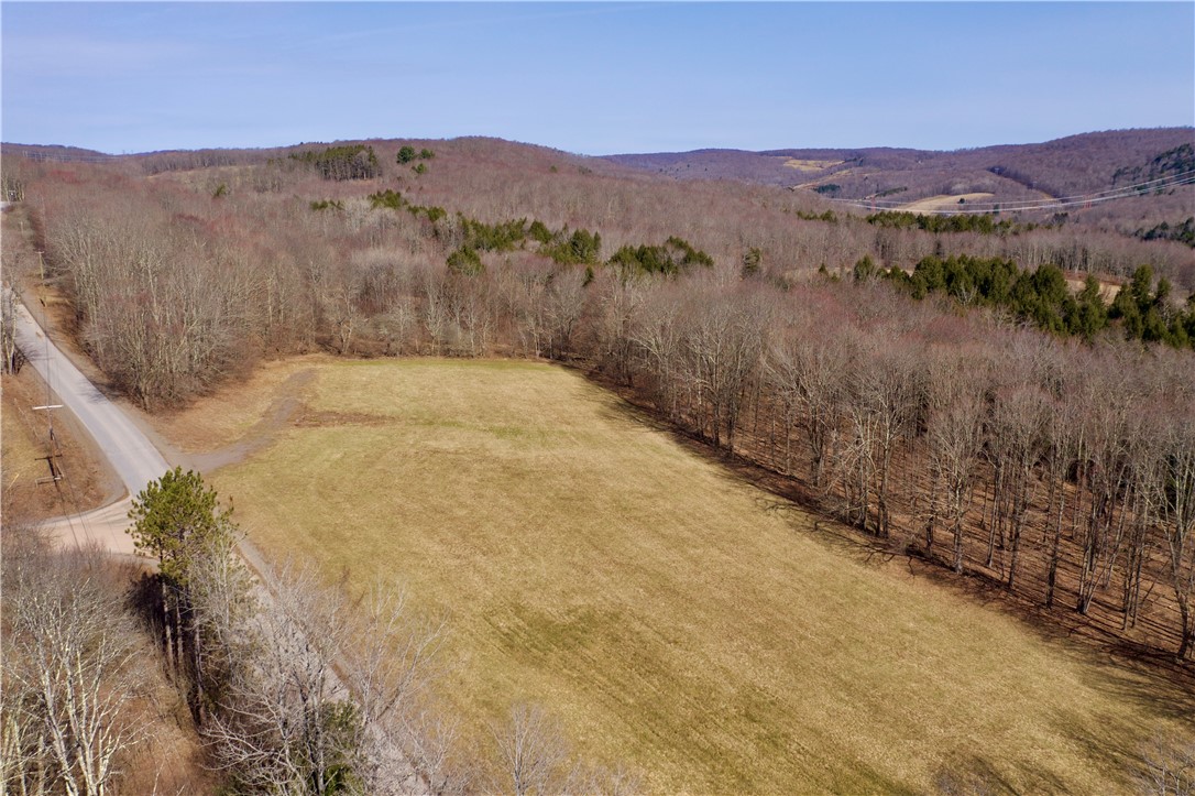 Hamden Hill Road Delhi, NY 13753 - Photo 10 of 18