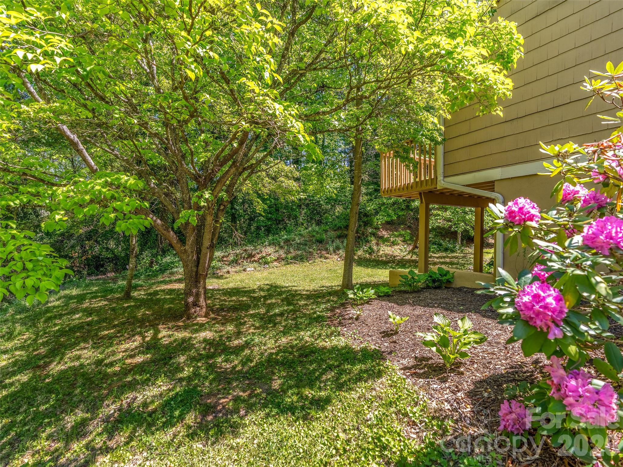 101 Beaver Ridge Road Asheville, NC 28804 - Photo 41 of 48