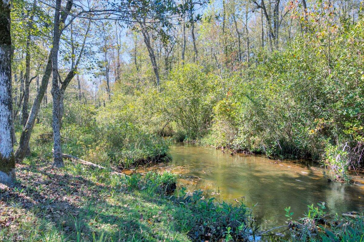 1488 Hatchaway Bridge Road Aiken, SC 29801 - Photo 48 of 65