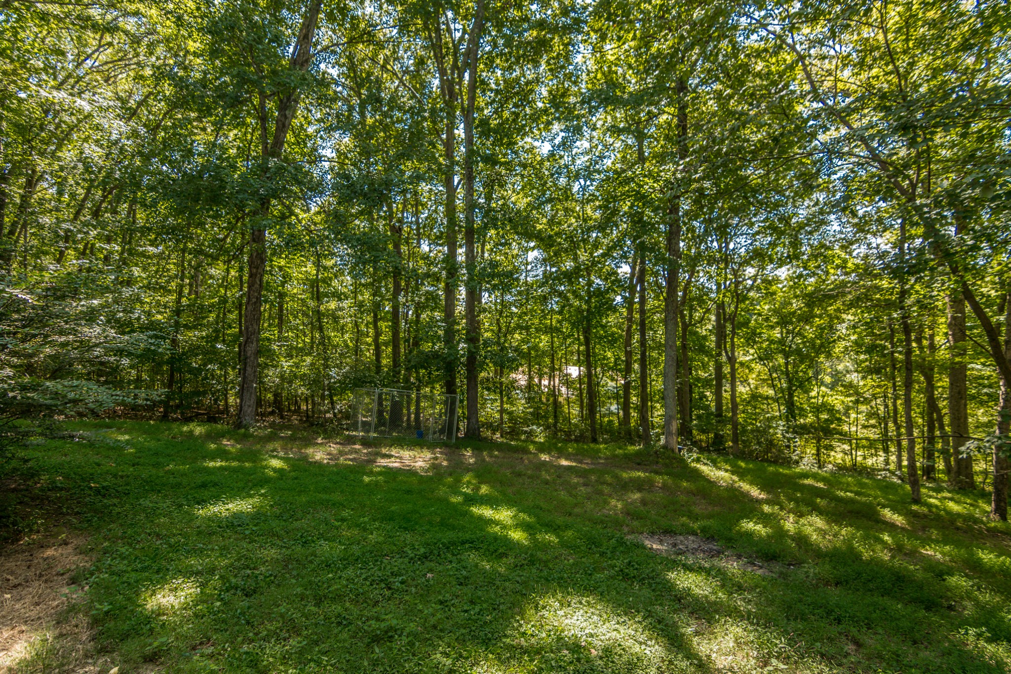 5207 Stacy Springs Road Springfield, TN 37172 - Photo 28 of 30 a view of outdoor space and green space