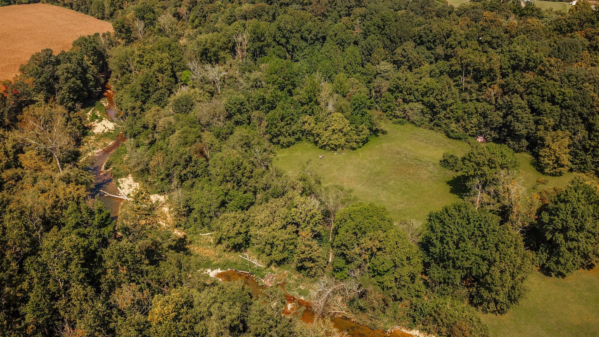 5207 Stacy Springs Road Springfield, TN 37172 - Photo 29 of 30 a view of a lake with a house