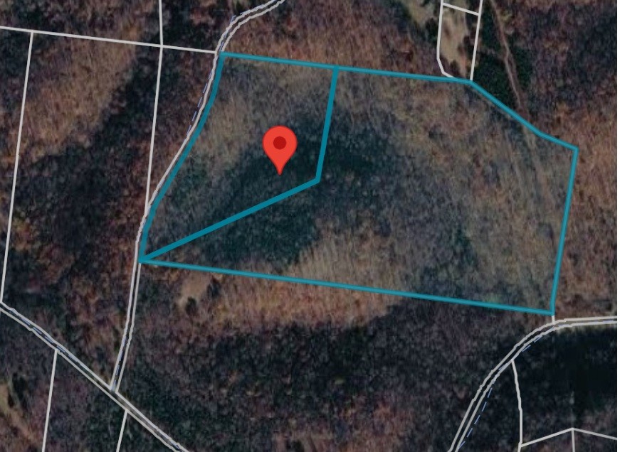 0 Jack Holt Road Prospect, TN 38477 - Photo 2 of 10 Gallery Image 2