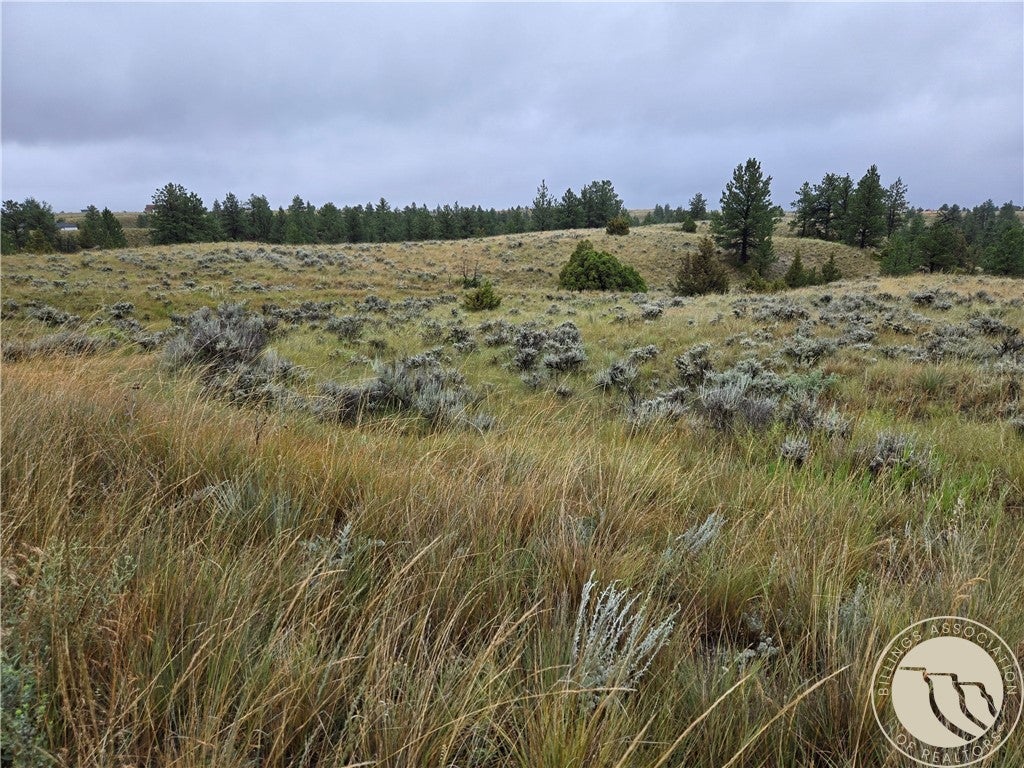 16 Mountain View Road Molt, MT 59057 - Photo 1 of 19 Gallery Image 1