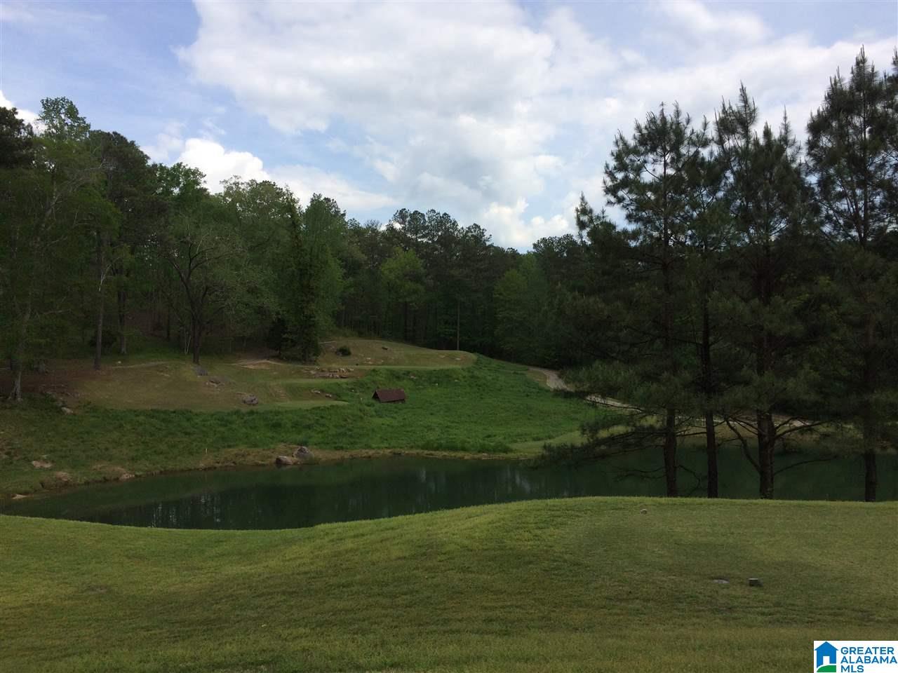 0 Bellerive Circle, Unit 160 Oneonta, AL 35121 - Photo 12 of 19
