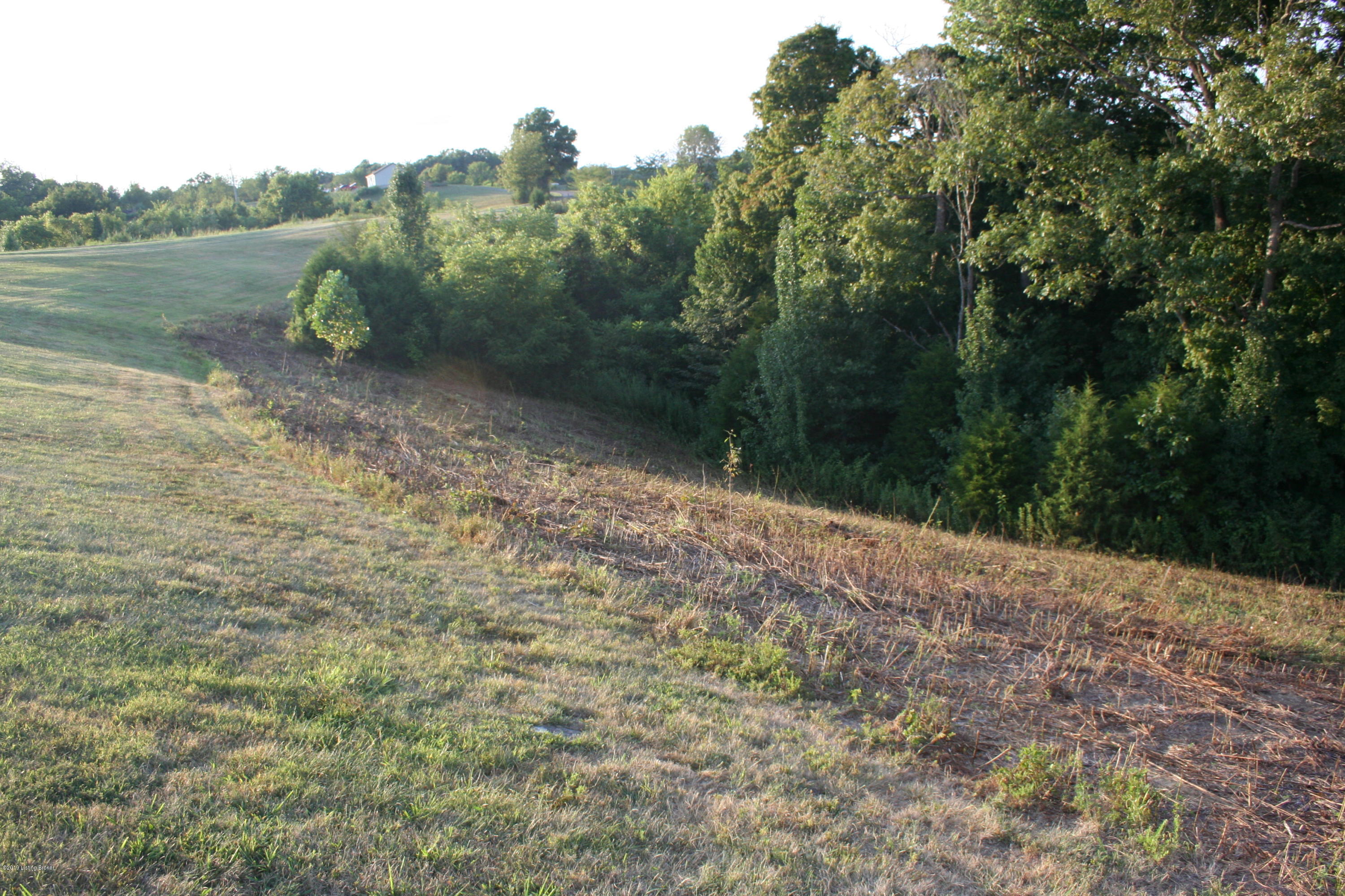 1104 Long Road Lawrenceburg, KY 40342 - Photo 34 of 35 54