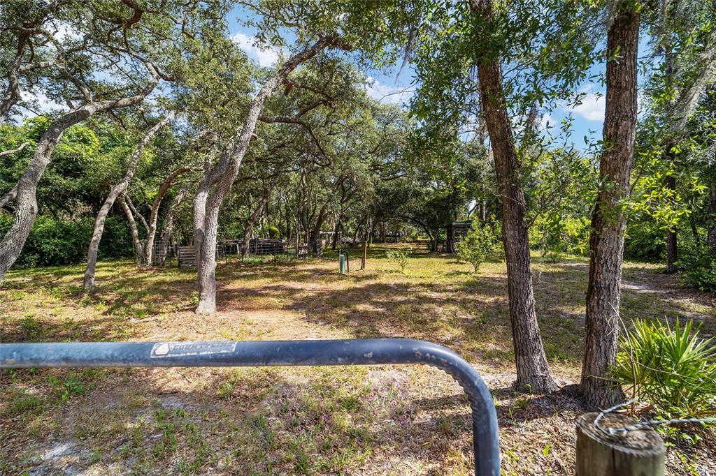 15755 Southwest 90th Avenue Dunnellon, FL 34432 - Photo 50 of 55