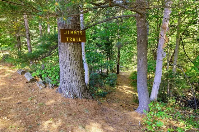 a view of a plants with large trees