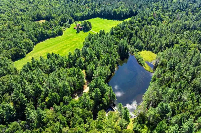 a view of a back yard