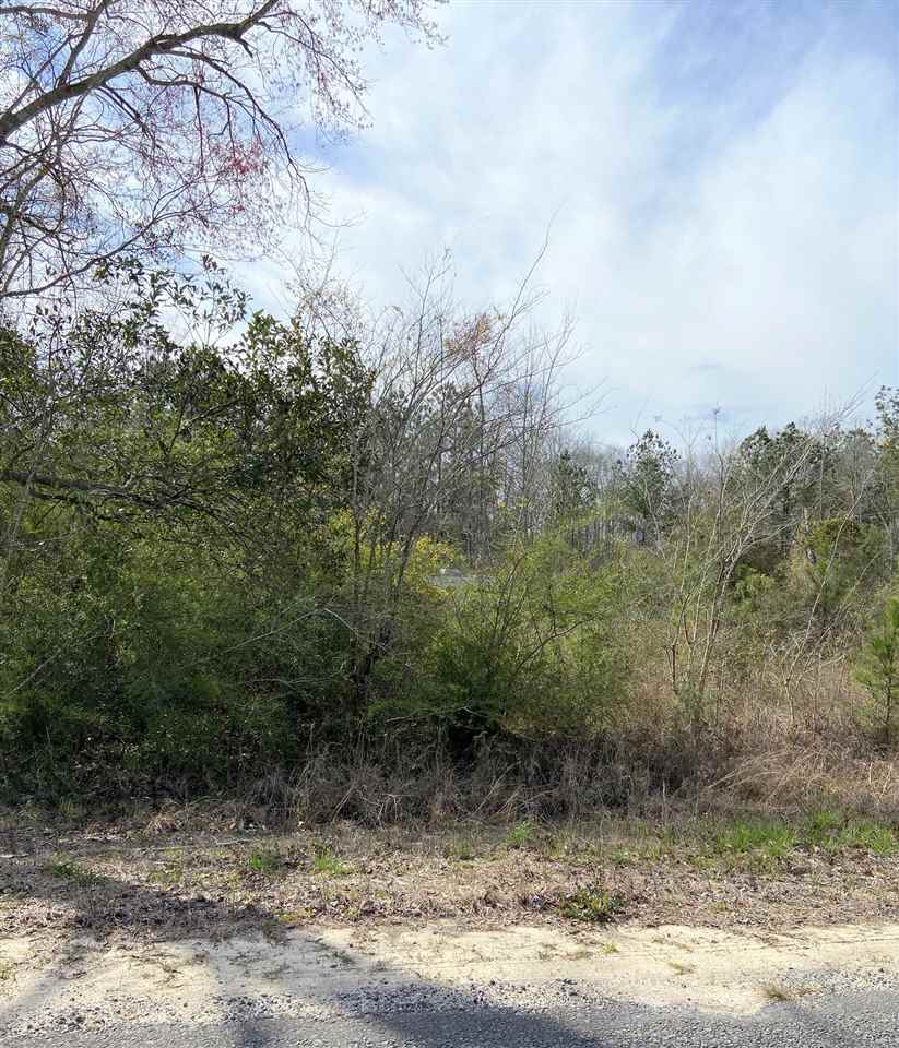 0 Old Salt Road Andalusia, AL 36420 - Photo 1 of 3 Gallery Image 1