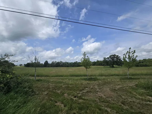 $65,000 | 0 Walkowe Lane, Manchester, MI 48158